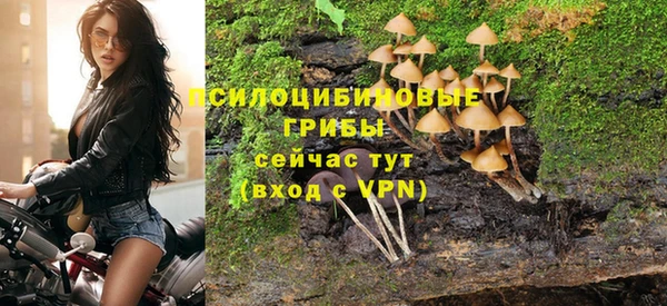 меф Новодвинск