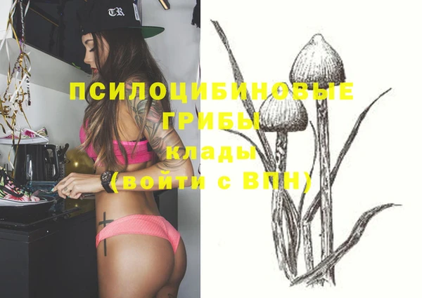 метамфетамин Алексеевка