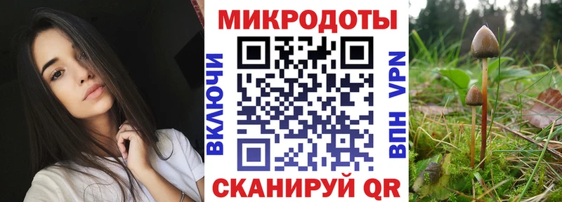 где купить   Дудинка  Галлюциногенные грибы GOLDEN TEACHER 